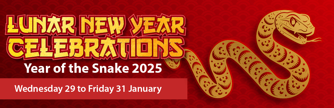 Lunar New Year