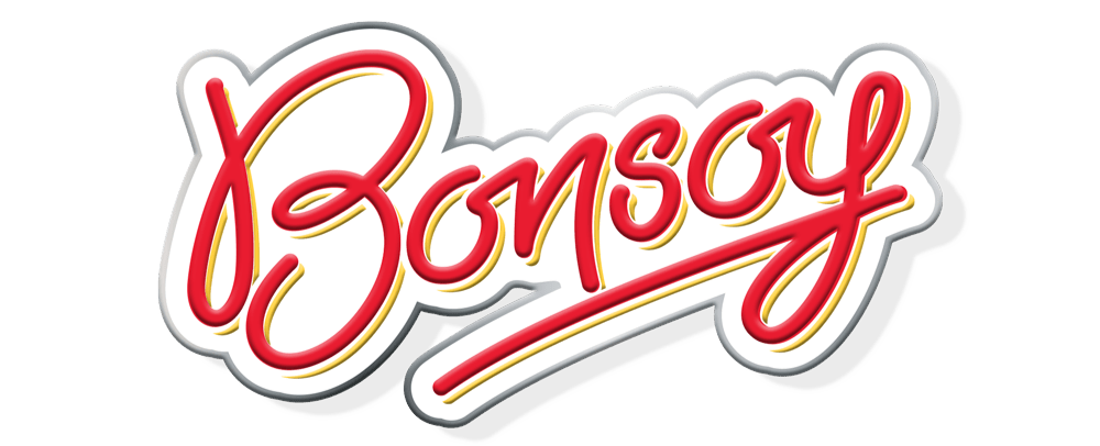 bonsoy_logo_pin_1000x1000_